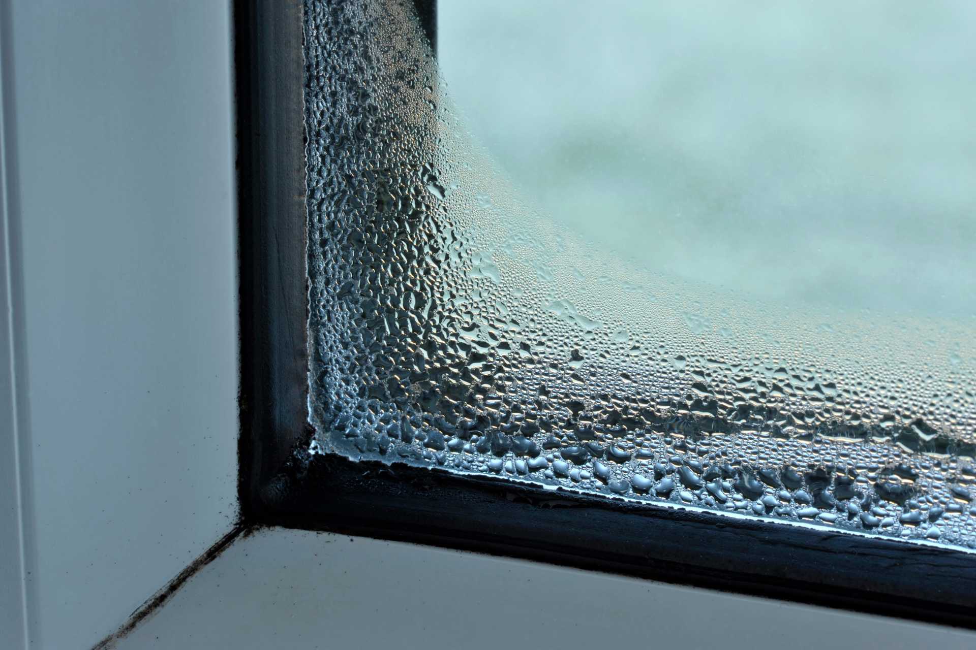 Common Window Problems and How to Fix Them – EconoShield Windows and Doors Common Window Problems and How to Fix Them - EconoShield Windows and Doors